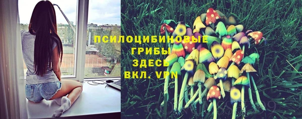 прущие крисы Алексеевка