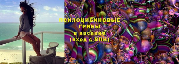гидропоника Алзамай