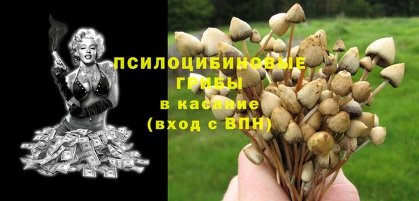 прущие крисы Алексеевка