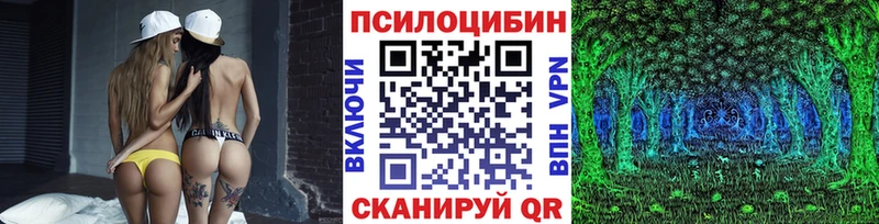 KRAKEN ONION  наркотики  Беломорск  Псилоцибиновые грибы мухоморы 